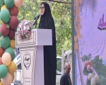 جشنواره گردوی سلسله؛ از باغ تا بازار، روایت ظرفیت‌های طلایی