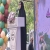 جشنواره گردوی سلسله؛ از باغ تا بازار، روایت ظرفیت‌های طلایی